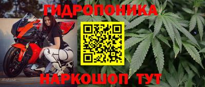 альфа пвп Севастополь