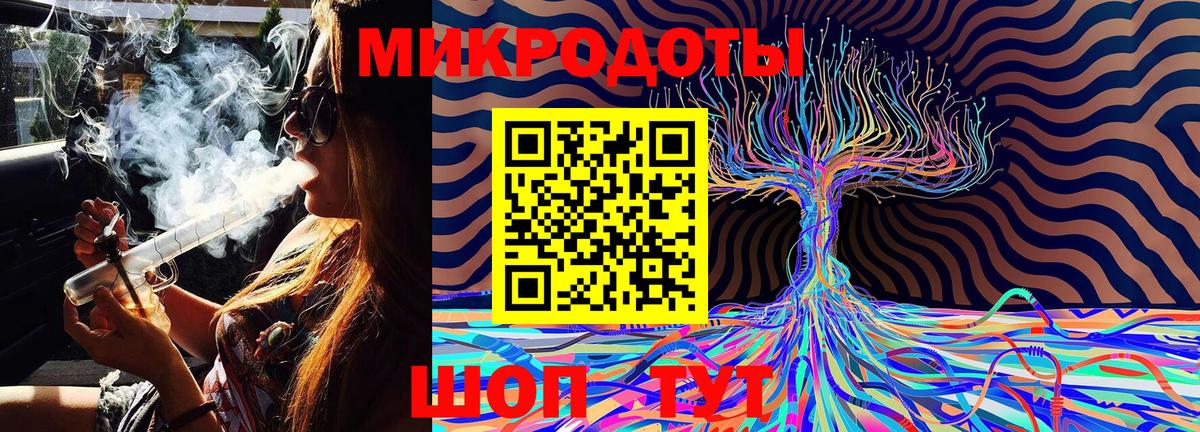 Псилоцибиновые грибы Psilocybe Саров