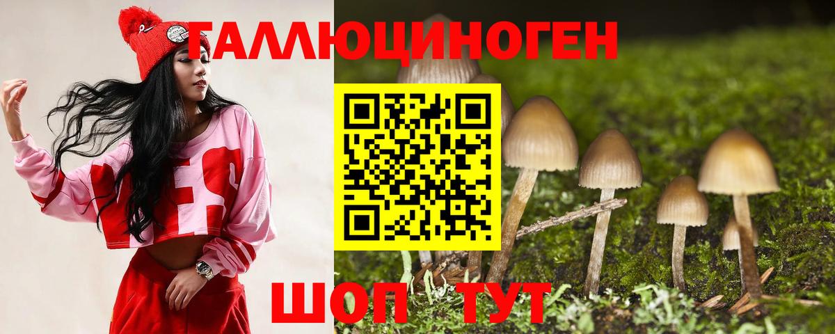 Псилоцибиновые грибы GOLDEN TEACHER  Вход с VPN  Саров  продажа наркотиков  Псилоцибиновые грибы мухоморы 